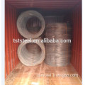 steel wire rod coil price